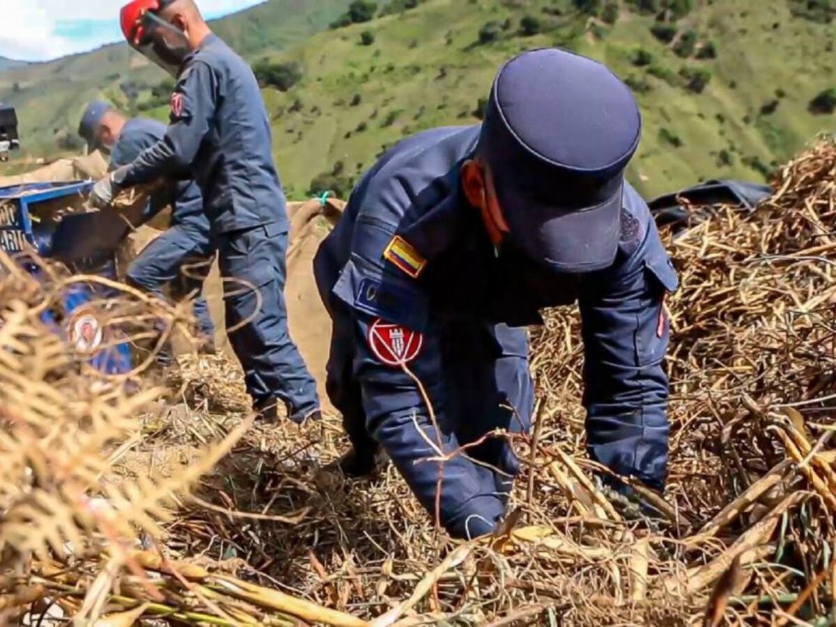 En el Huila, soldados crearon máquina desgranadora de frijol