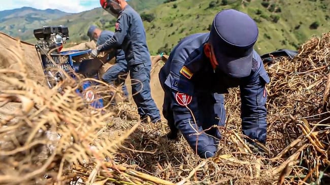 En el Huila, soldados crearon máquina desgranadora de frijol