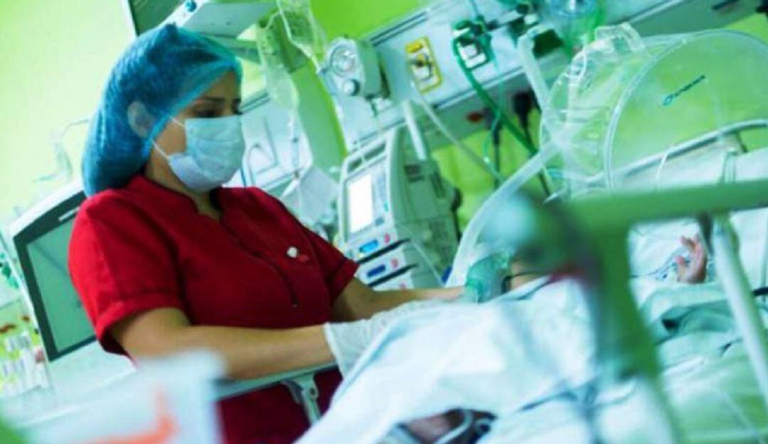 Imagen de referencia