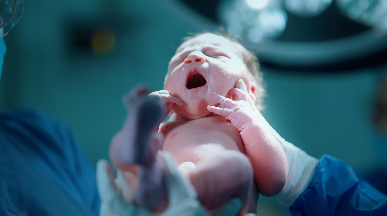 Nacimientos. Imagen de archivo.