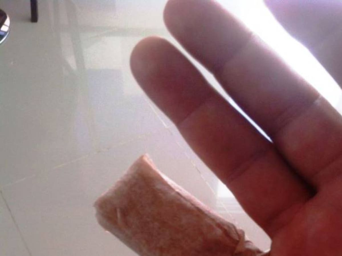 Animalistas de Cartagena aseguran que caballo agresor no estaba domesticado