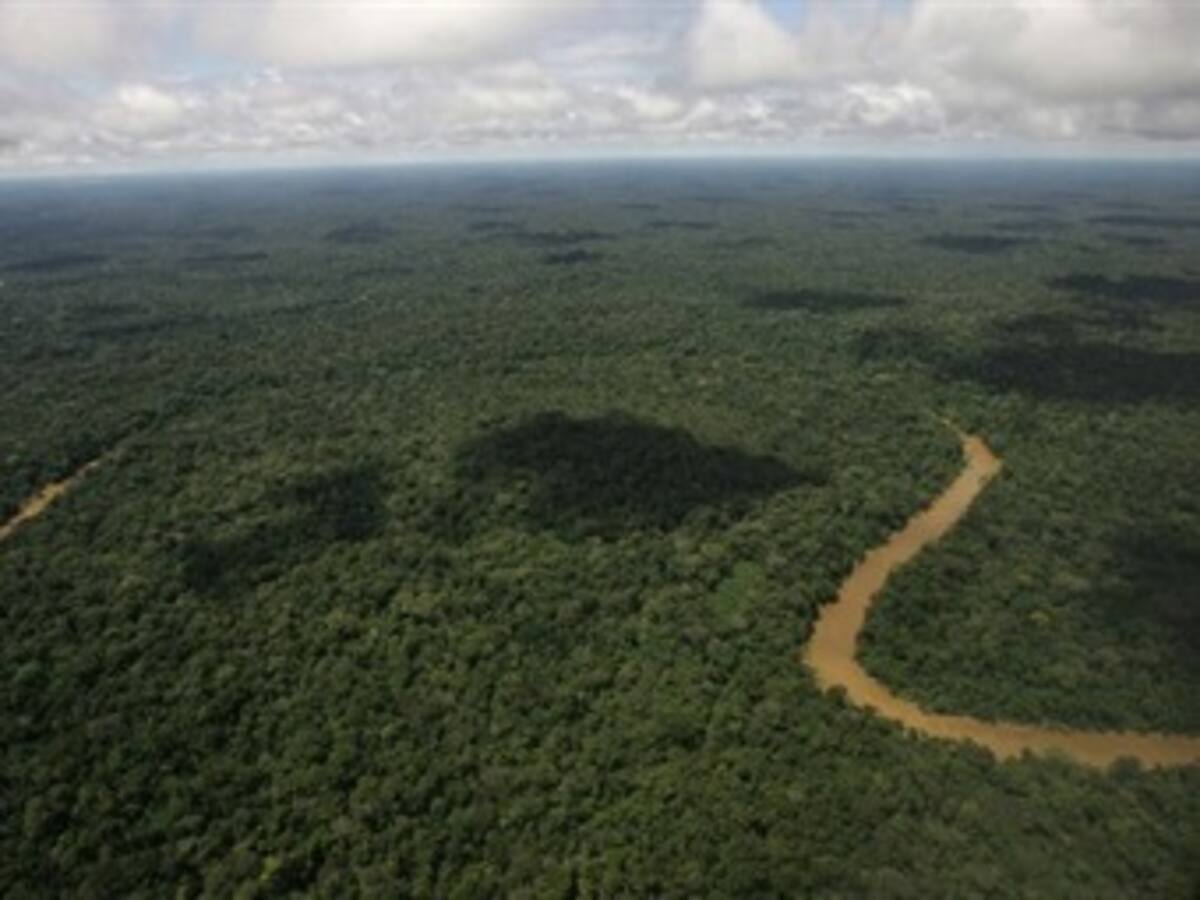 Australia realiza un aporte a iniciativa Yasuní-ITT de 500.000 dólares