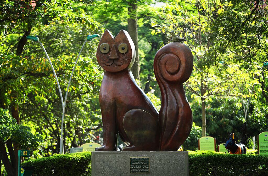 Gato Tejada. (Photo by Ian MacNicol - FIFA/FIFA via Getty Images)