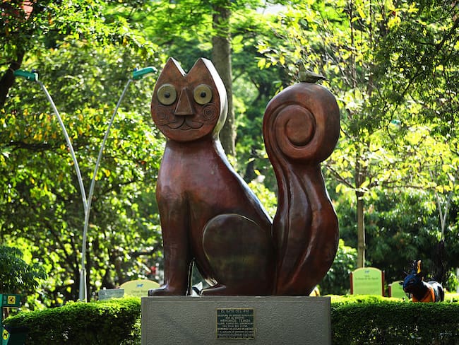 Gato Tejada. (Photo by Ian MacNicol - FIFA/FIFA via Getty Images)