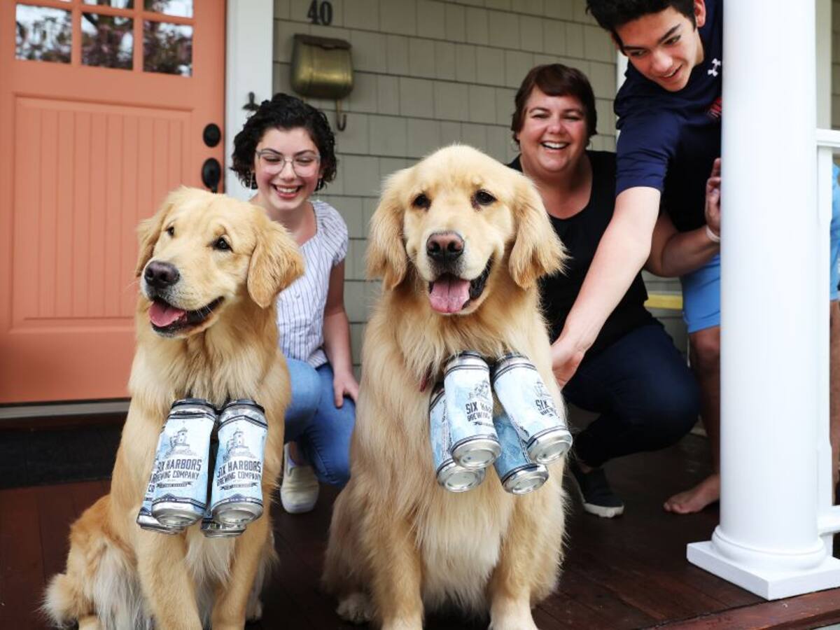 Perros reparten cerveza a domicilio en Long Island