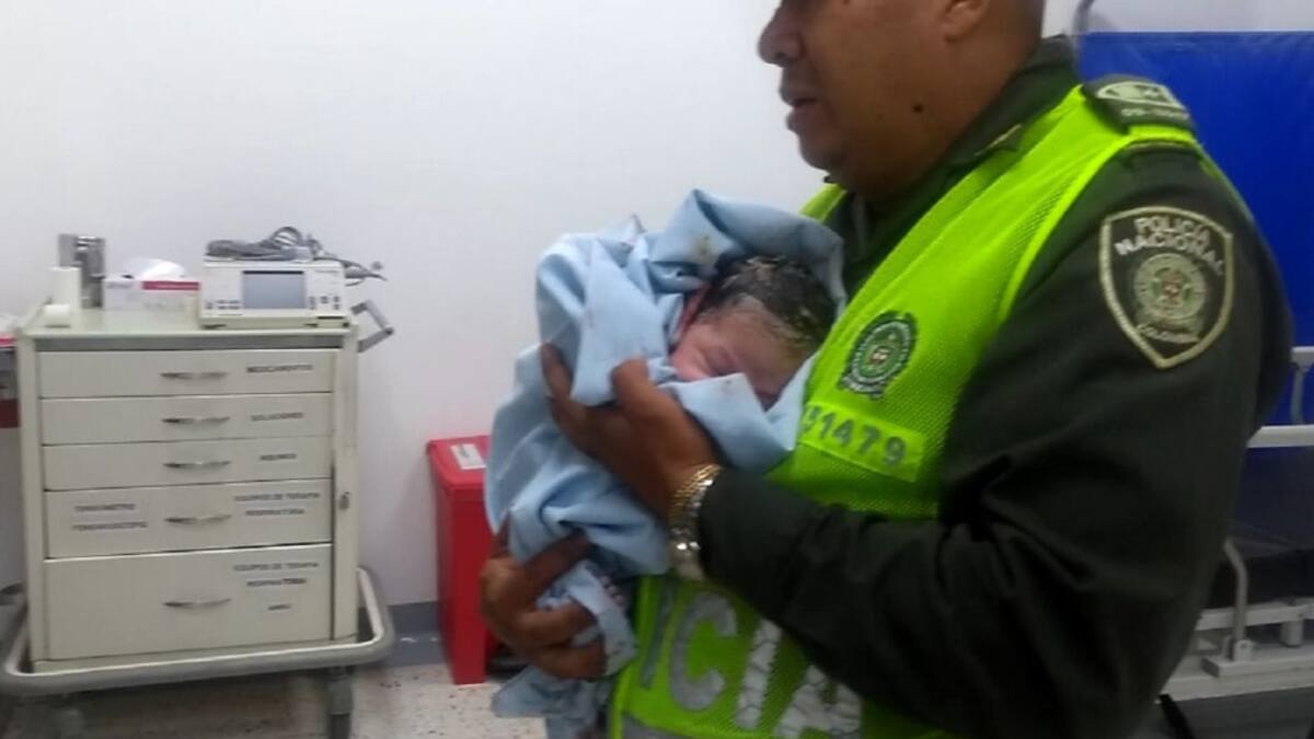 En medio del aislamiento la vida se abre paso