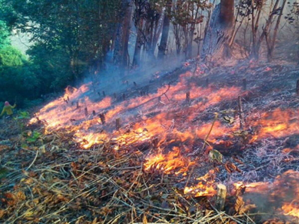 Alerta por incendios forestales en Quindío, aunque persisten las lluvias