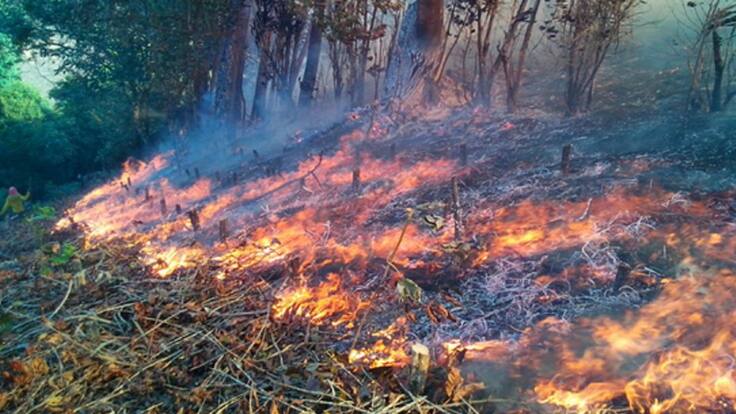 Directora Udegerd, Mónica Camacho