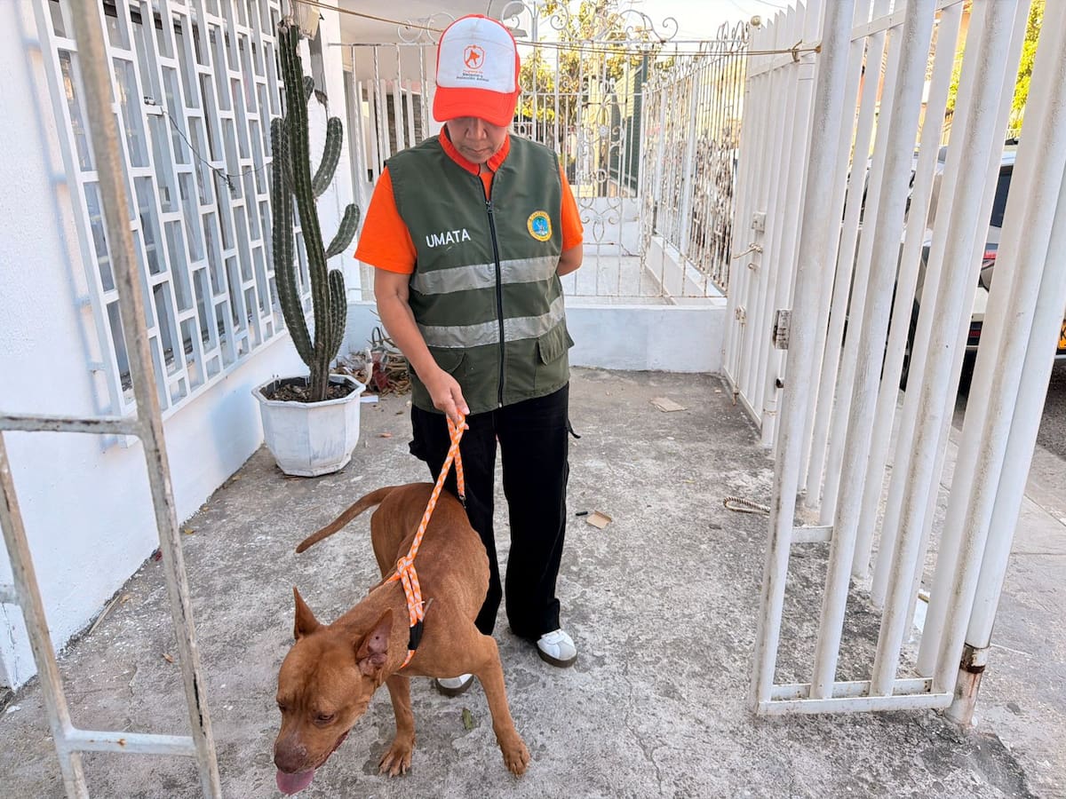 Umata Cartagena atiende caso de presunto maltrato animal en Canapote