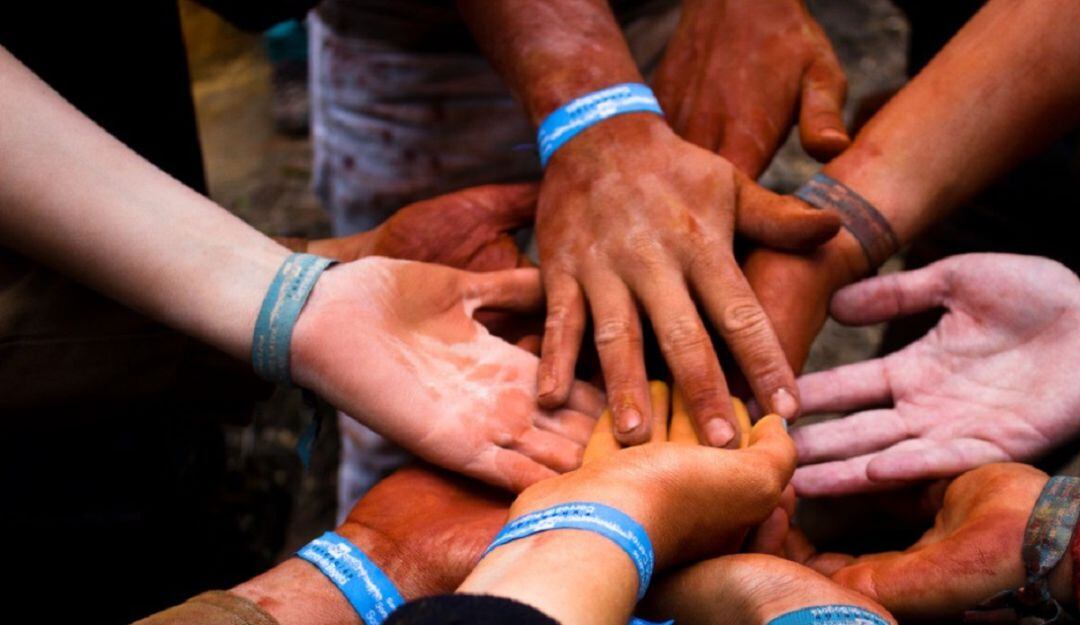 Donación Reforestación