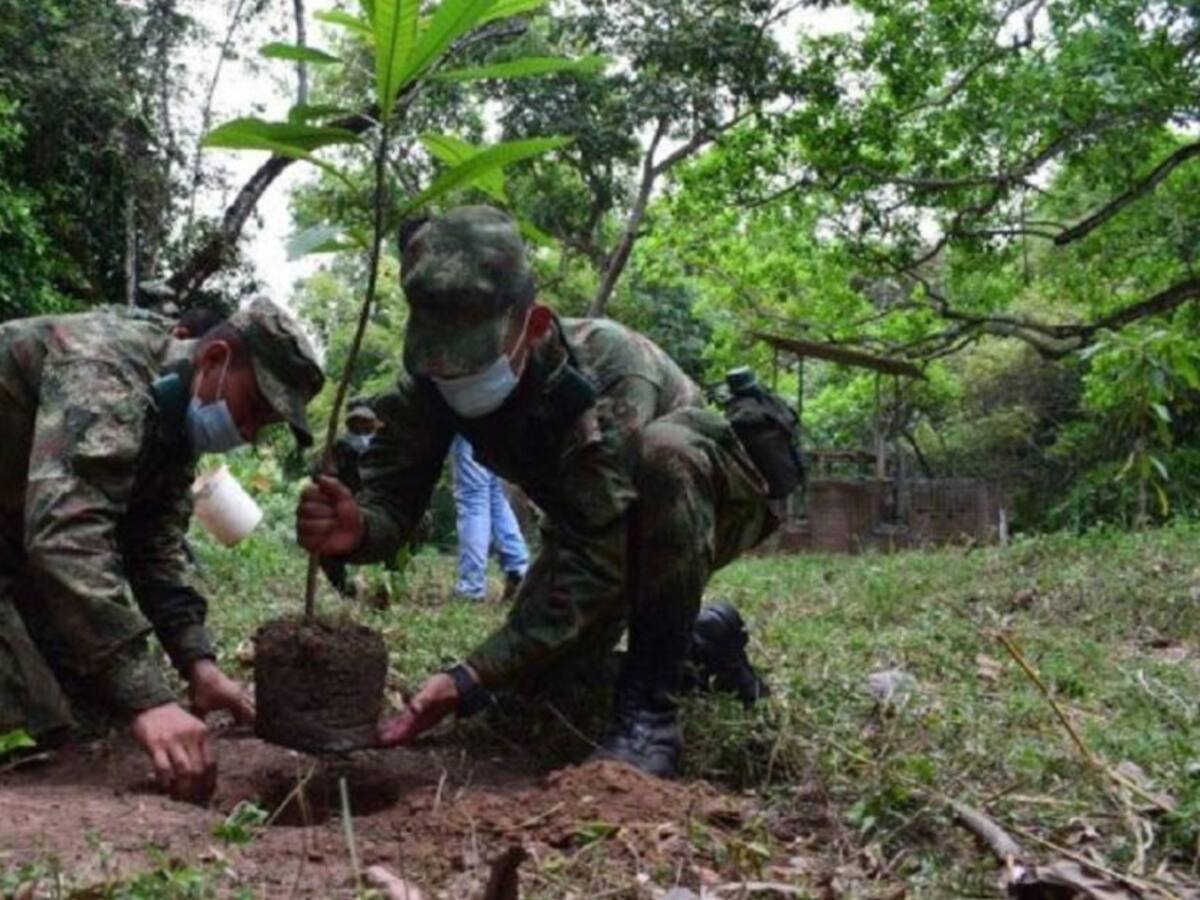 Burbuja ambiental se implementará en el eje cafetero con apoyo del ejército