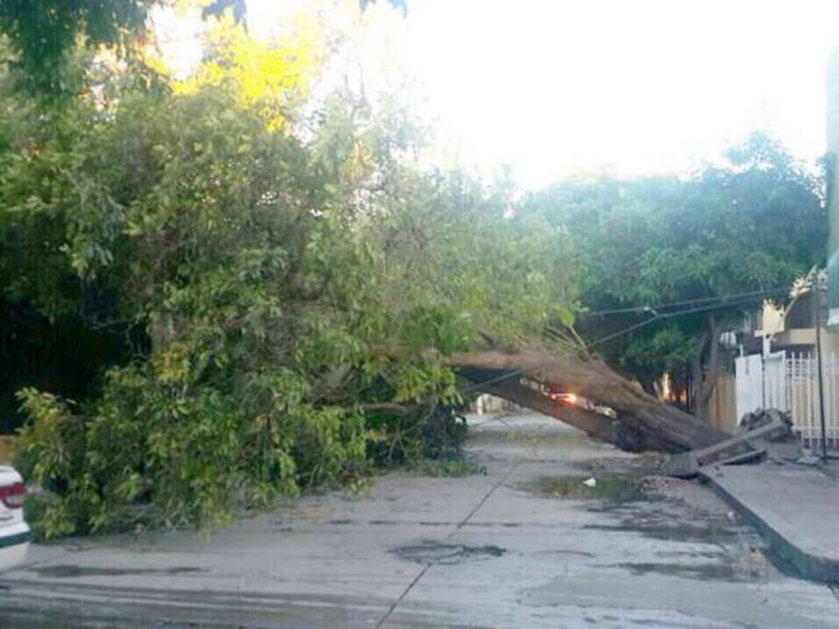 ‘La loca’ causa estragos en Santa Marta