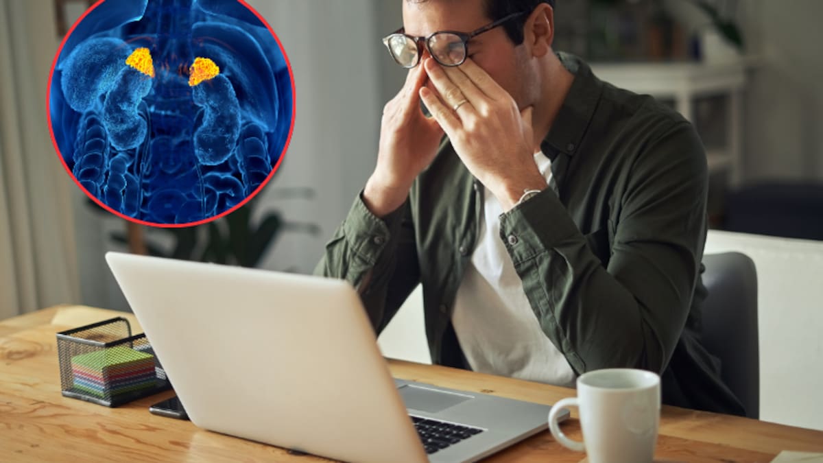 Qué hace el cortisol en el cuerpo: Casos en los que podría aumentar la probabilidad de cáncer