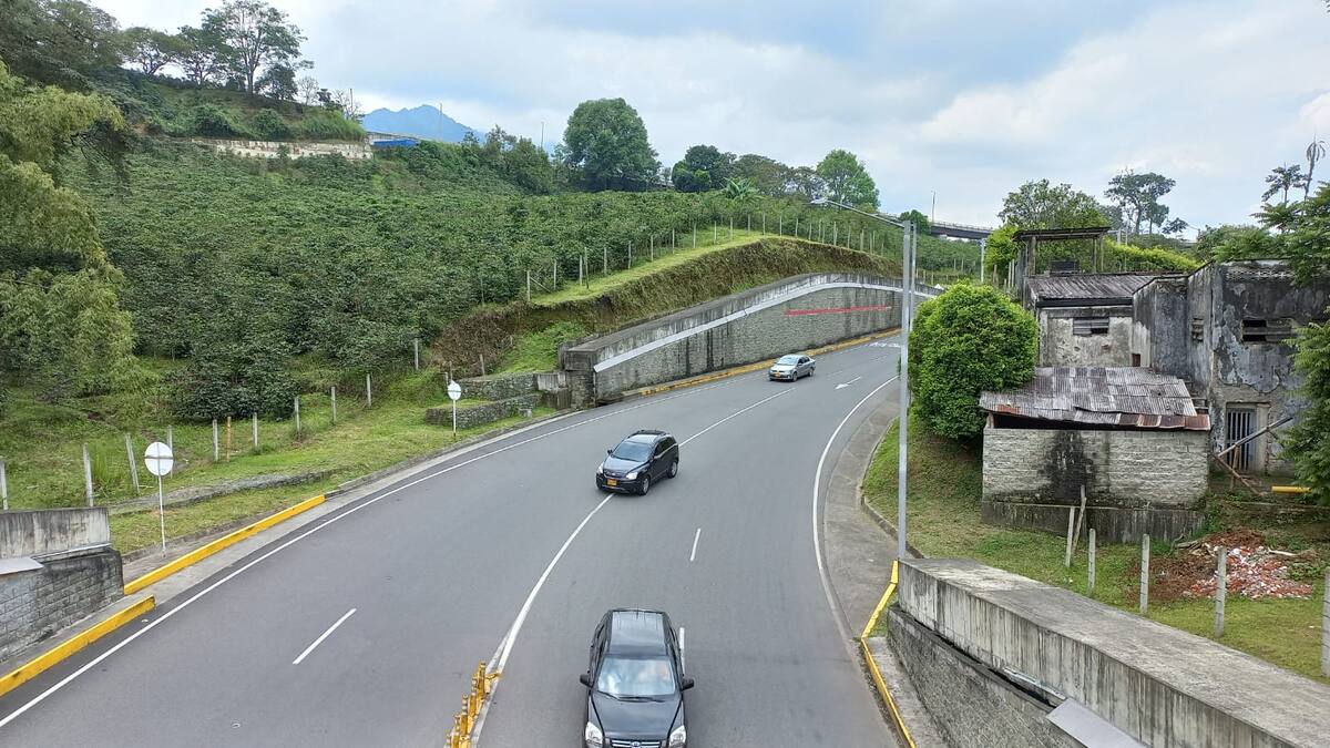 Mayor Sara Novoa, jefe de la seccional de tránsito y transporte del Quindío