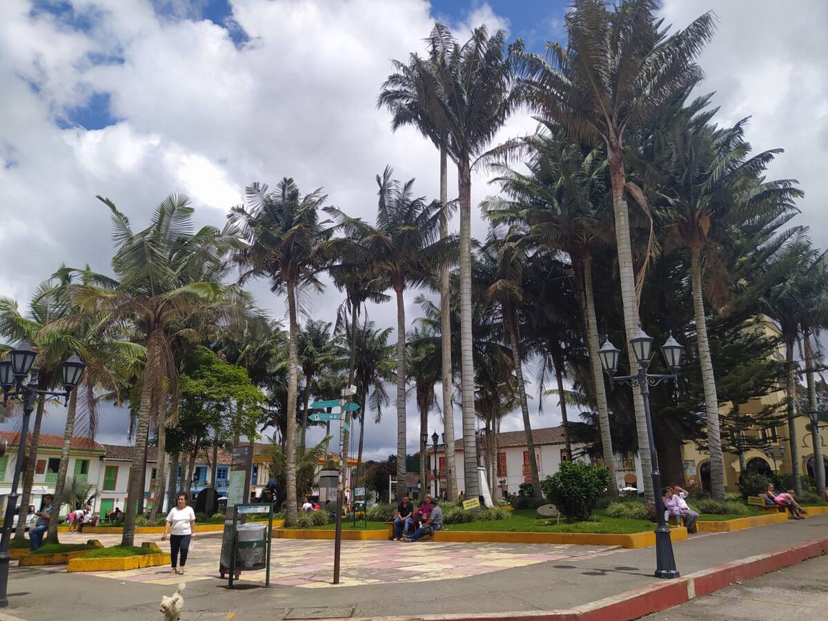 Miércoles 2 de Noviembre, las principales noticias de Armenia y Quindío