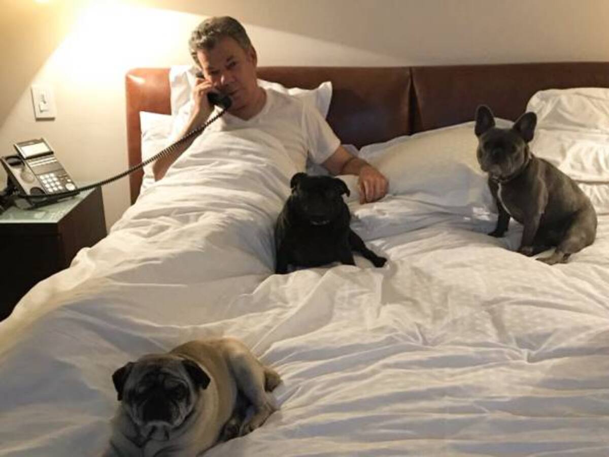 ¿Quién es quién en la foto del presidente y sus perros?