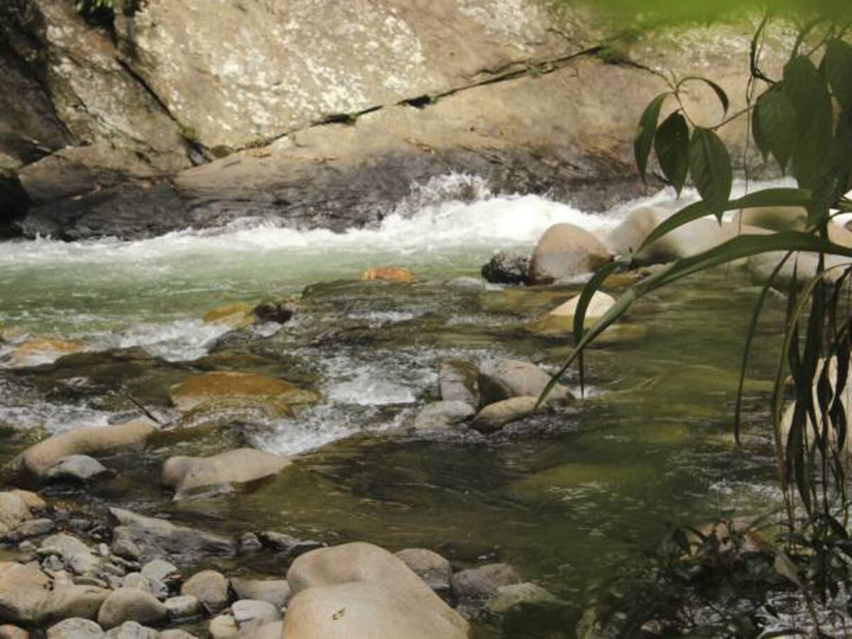 Una norteamericana y un británico arrastrados por un río en Antioquia