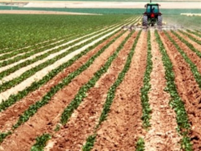 TLC con Israel, un reto para el sector agropecuario