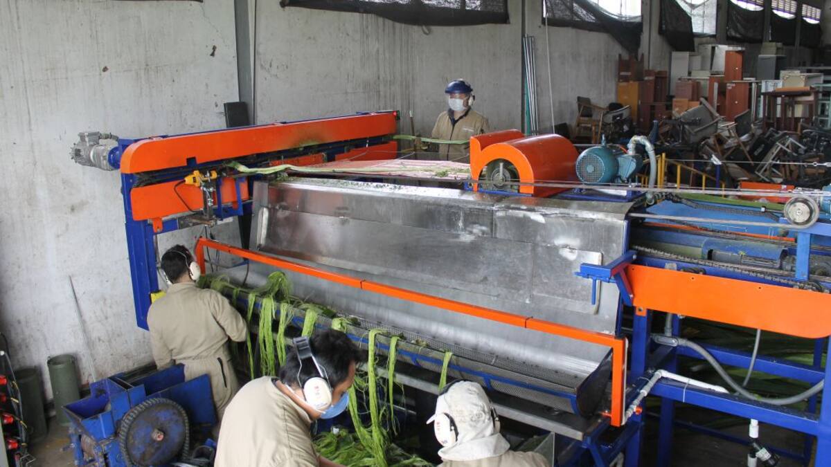 Fiqueña, una máquina que ayuda a mantener viva la tradición del fique