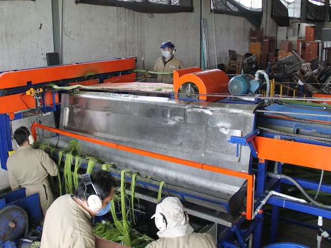 Fiqueña, máquina para extraer la fibra, el jugo y el bagazo de la planta de fique.