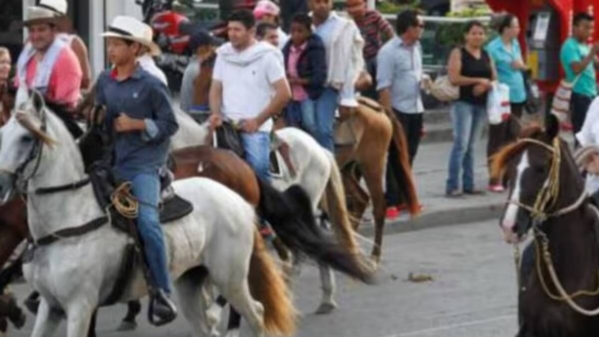 Animalista Stefany Gómez