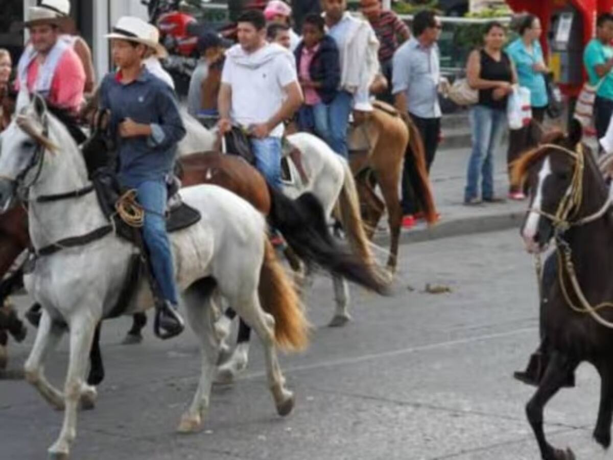 Polémica en Quindío por la realización de una cabalgata con una duración de 12 horas