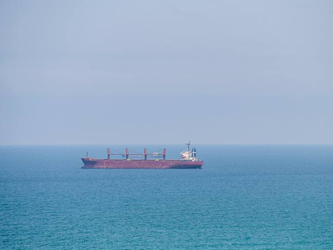 “Es una violación de los tratados internacionales”: activista de la ‘Flotilla de la Libertad’
