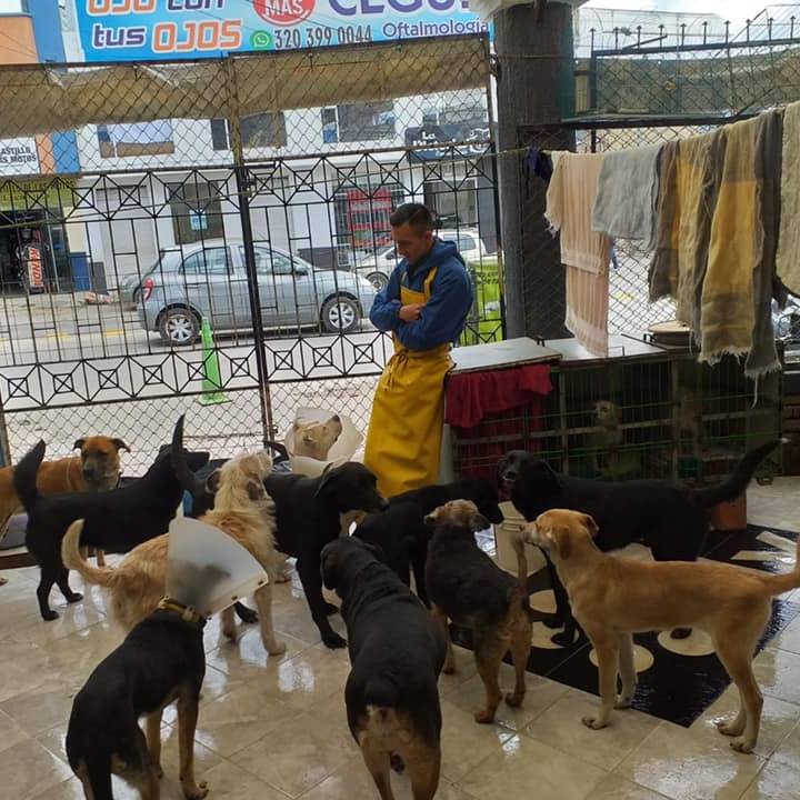 En la infraestructura del CAI, funcionaba un hogar de paso para animalitos en estado de abandono. Foto | Facebook