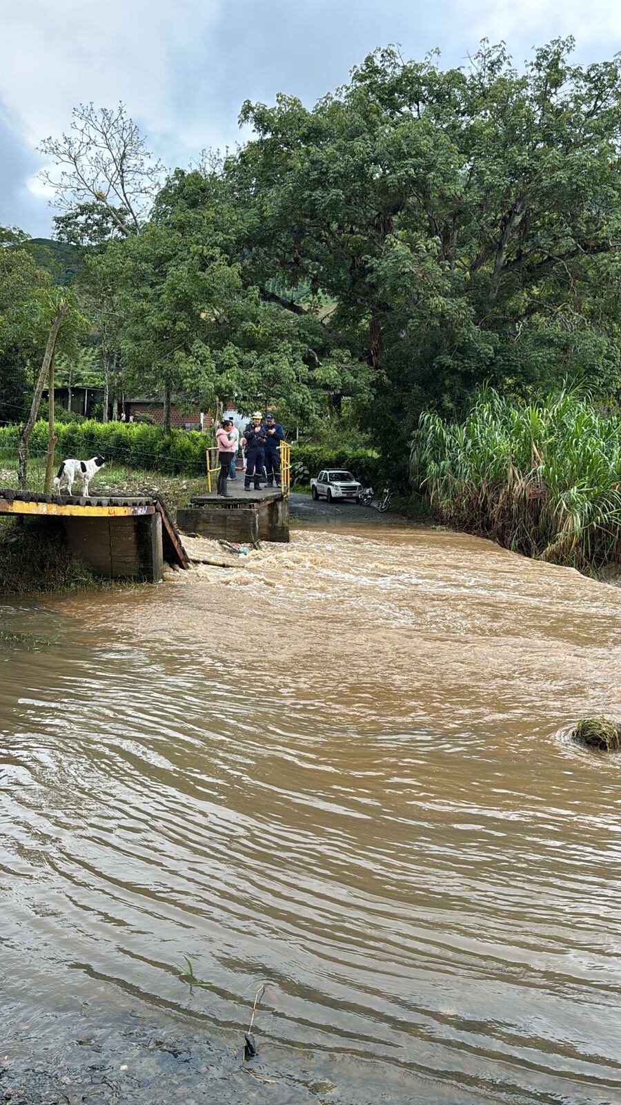 Los organismos de socorro adelantan la búsqueda de Elena López Cortés. Foto suministrada.