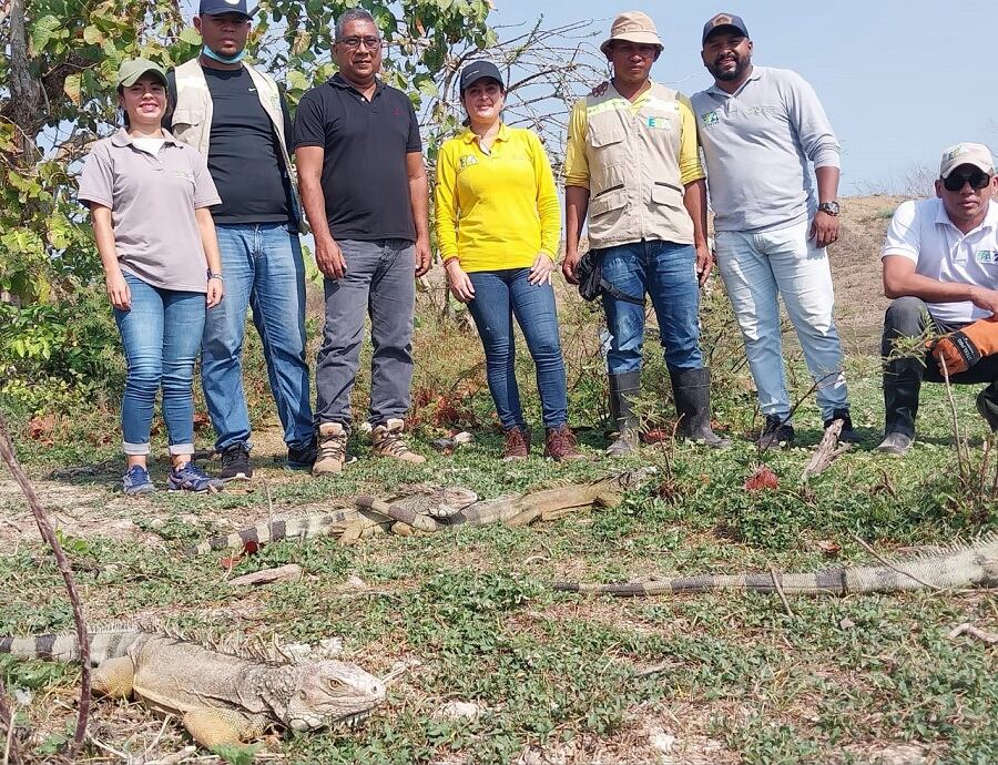 Alcaldía de Cartagena