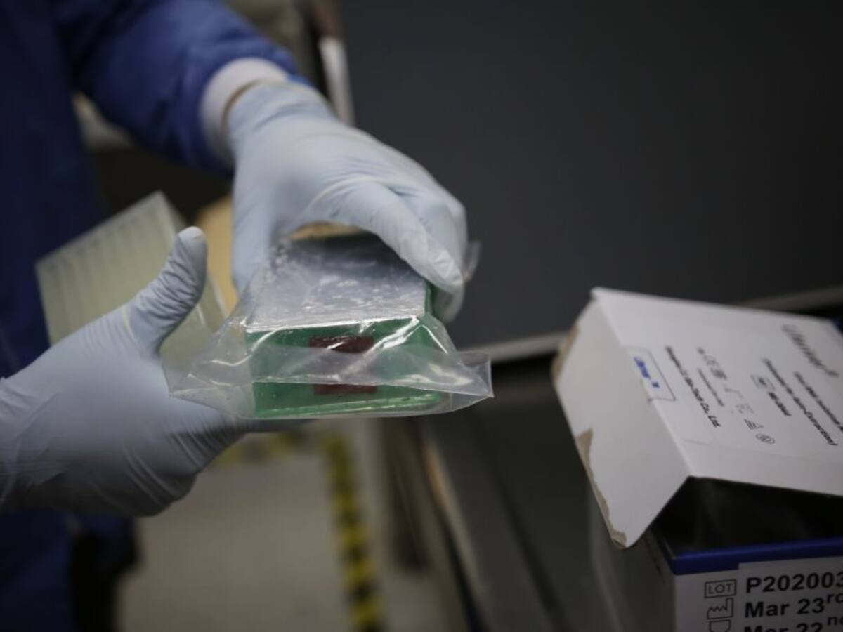 Juez mantiene movilidad en tres municipios del Guaviare por cuarentena