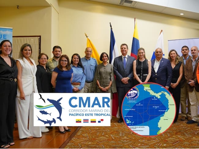 MinAmbiente propone acuerdo internacional para proteger el Corredor Marino del Pacífico