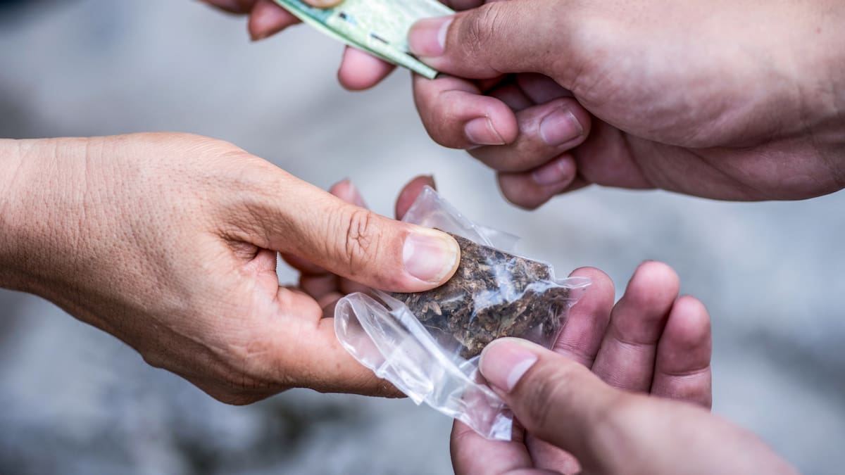 El país está nadando en droga: Federico Gutiérrez
