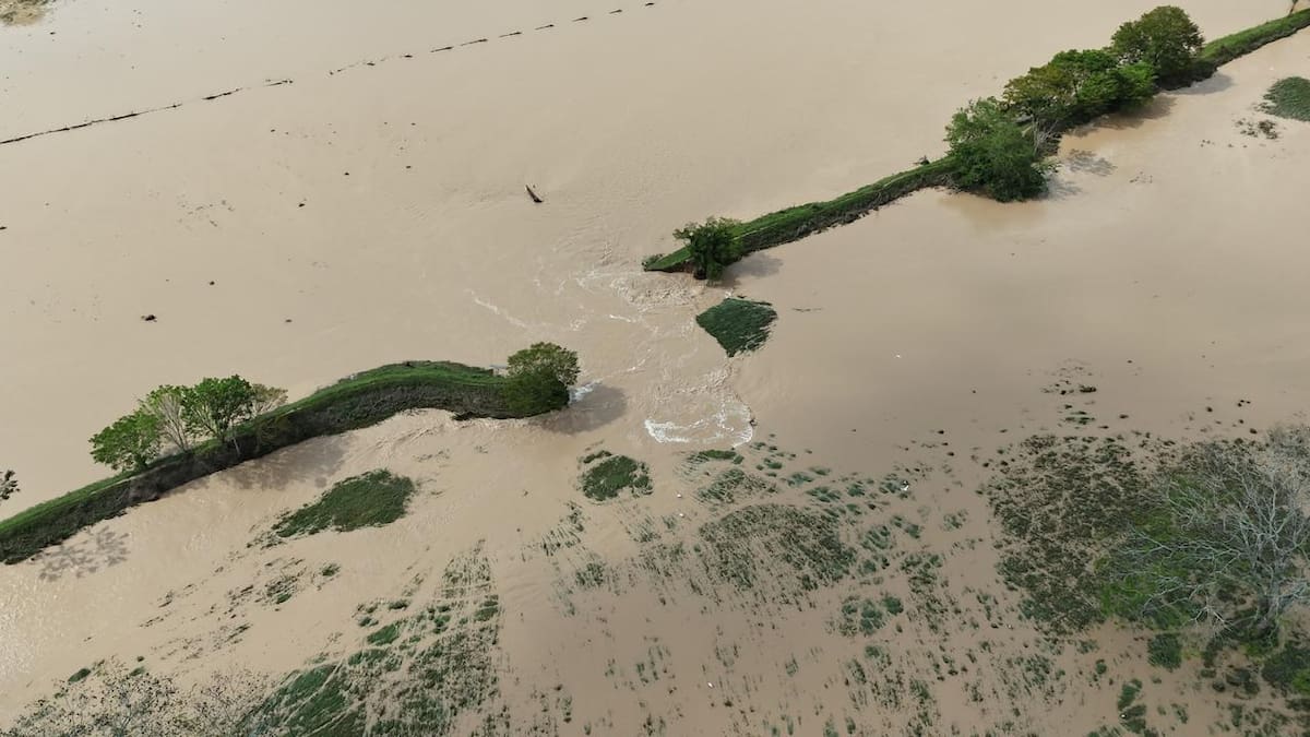 VIDEO | Se rompió jarillón en el bajo Rionegro en Santander: aumentan los problemas por inundaciones