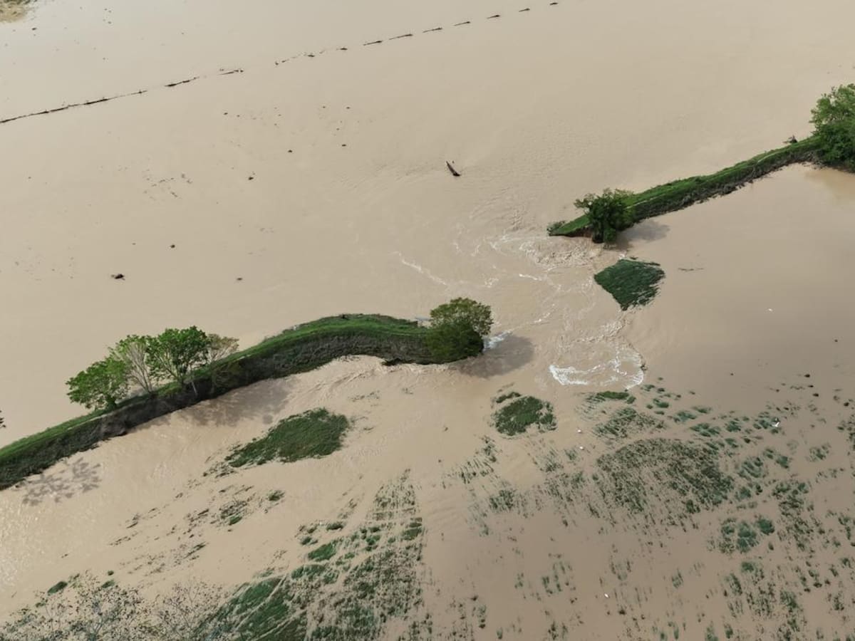 VIDEO | Se rompió jarillón en el bajo Rionegro en Santander: aumentan los problemas por inundaciones