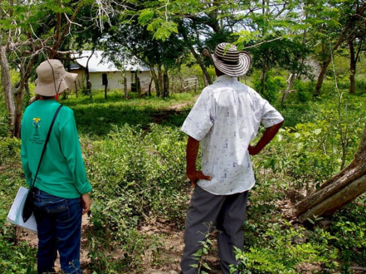 En restitución étnica, juez ordena devolver 3.157 hectáreas a indígenas de Chocó
