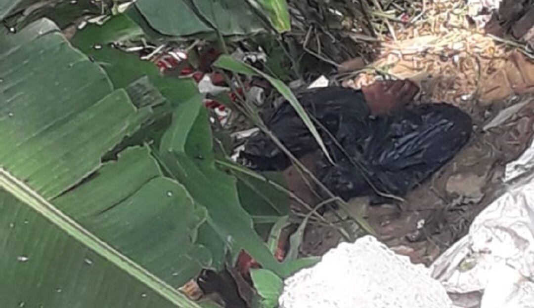 Hallazgo de bolsas negras en el oriente de Cali, contendrían un cuerpo desmembrado
