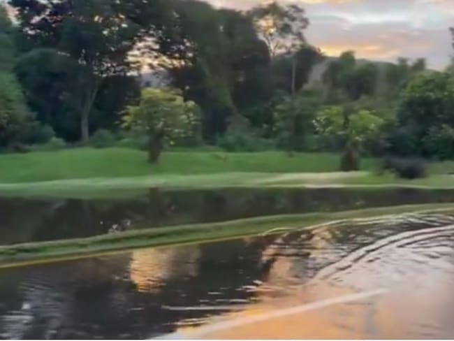 Caos en la movilidad en Bogotá: Transmilenio, calles inundadas y caídas de árboles