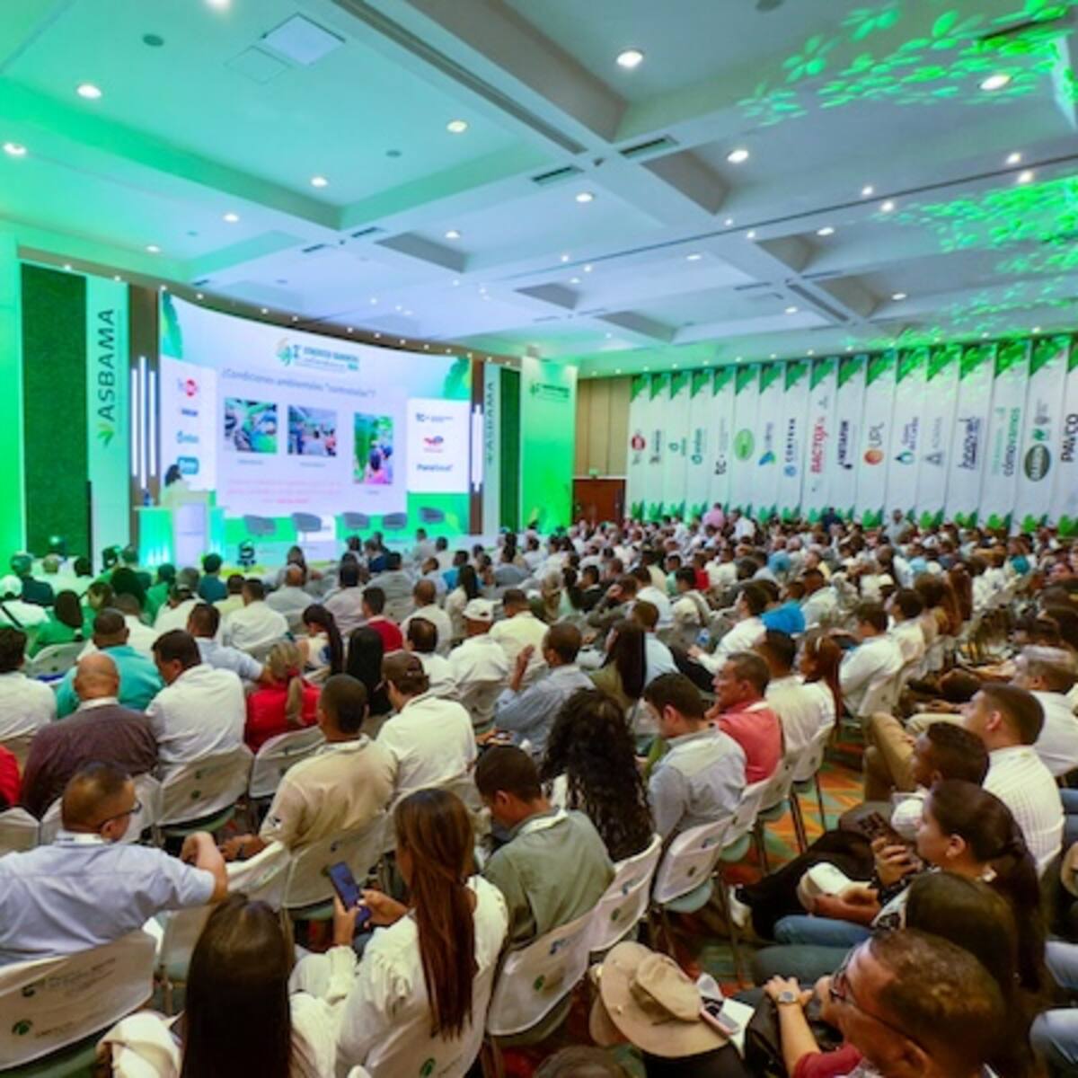 Santa Marta es sede del Congreso Bananero 2026 con expertos de talla internacional