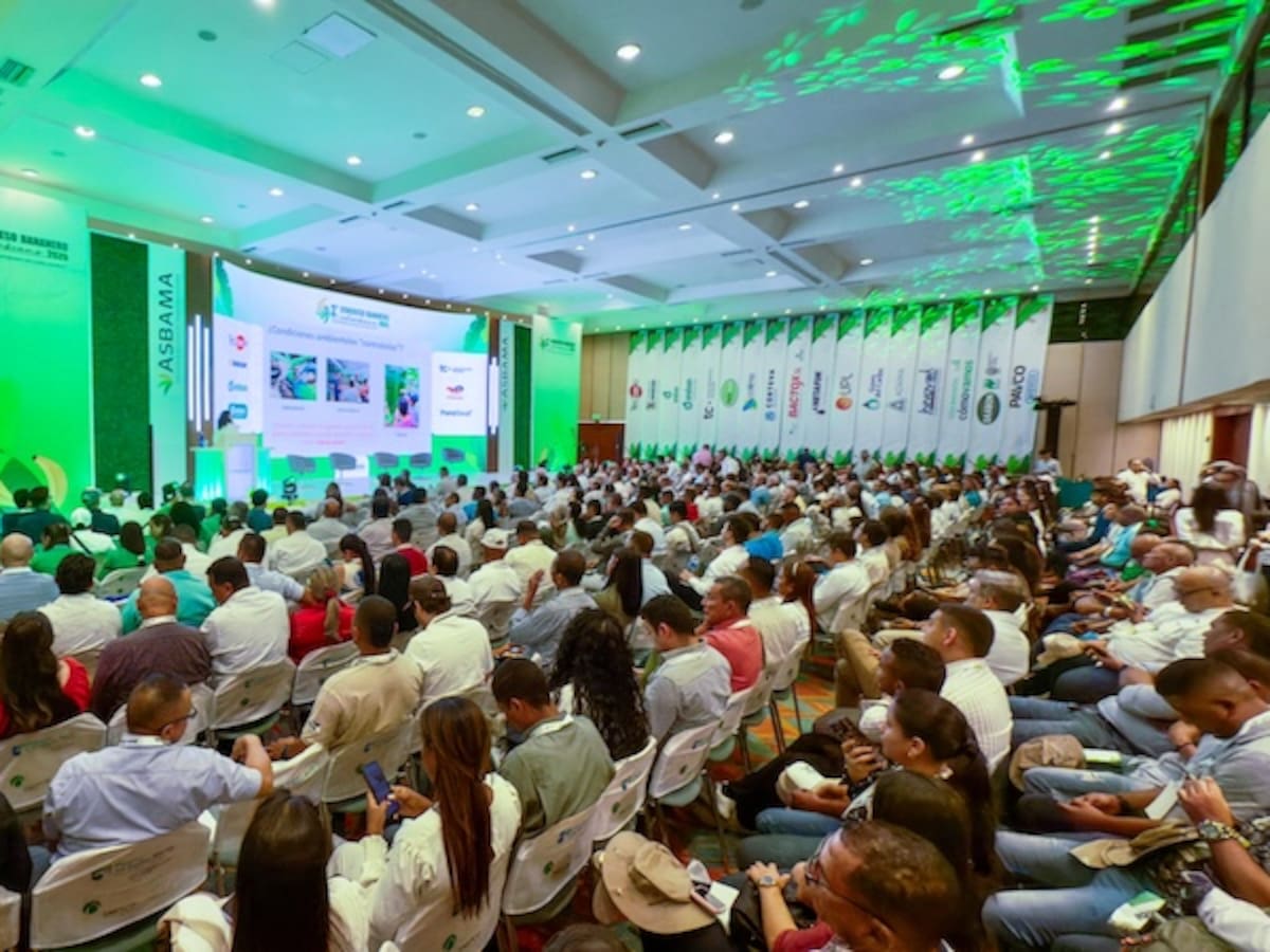 Santa Marta es sede del Congreso Bananero 2026 con expertos de talla internacional
