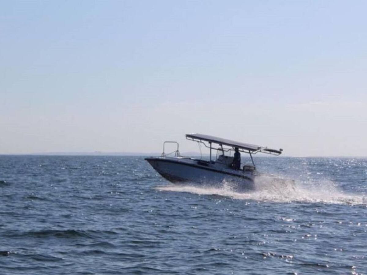 Rumbas estarían afectando un santuario de aves marinas en Islas del Rosario