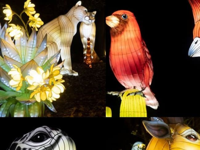 Fauna y flora colombiana iluminarán el parque Jardín Botánico de Bogotá