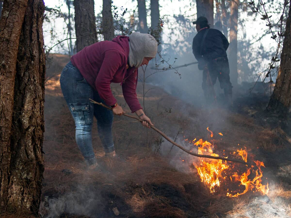 Congresista santandereano busca evitar el volteo de tierras en zonas incendiadas