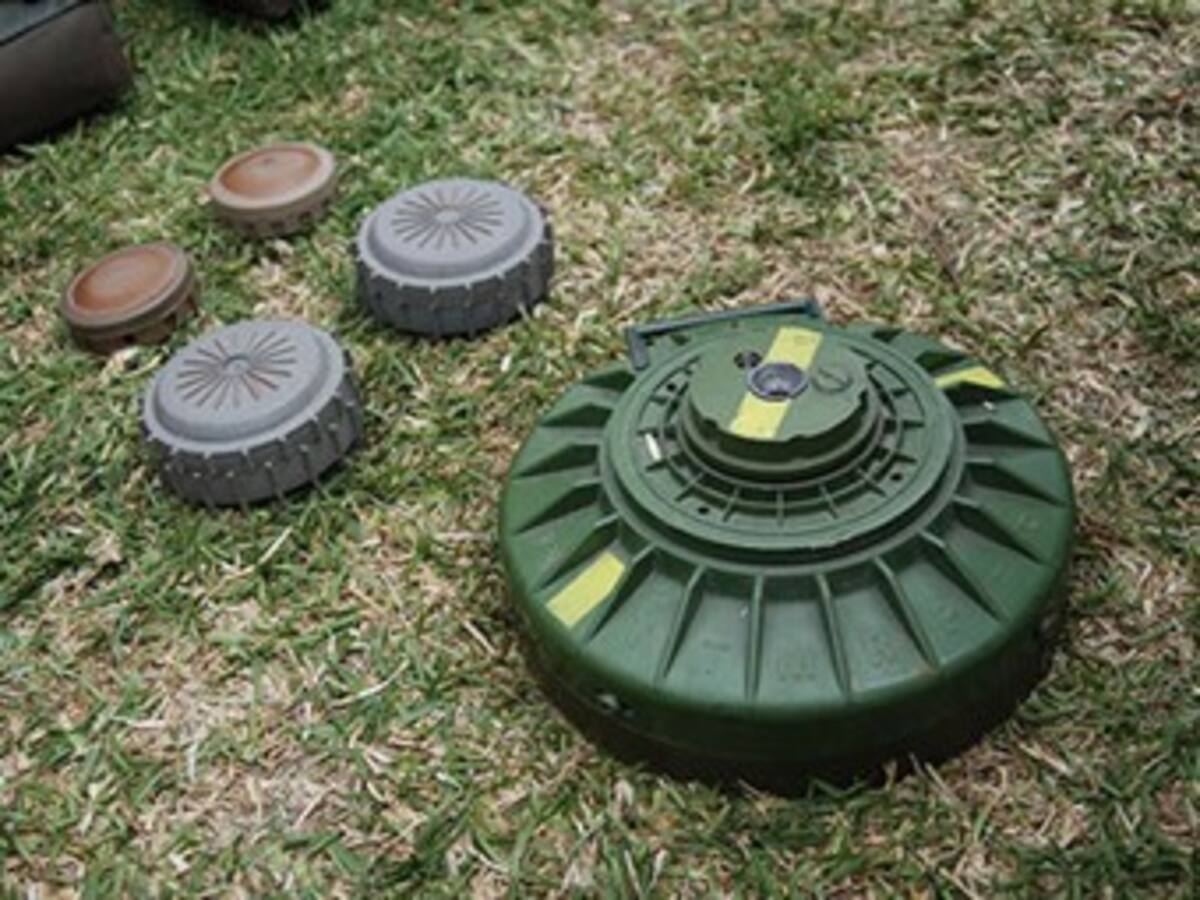 Partido Liberal insiste a negociadores pactar desminado humanitario