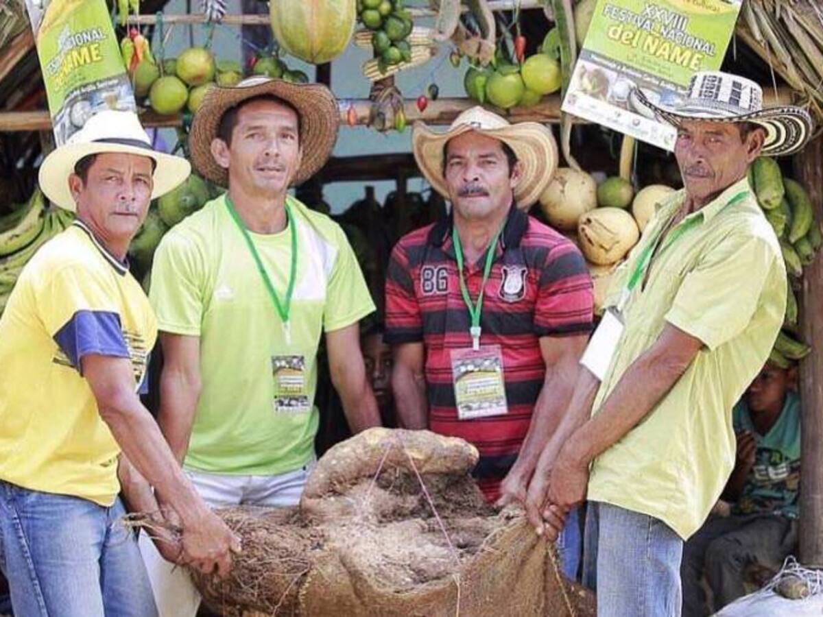 Gobernación de Bolívar pedirá que ICULTUR organice el próximo festival del Ñame