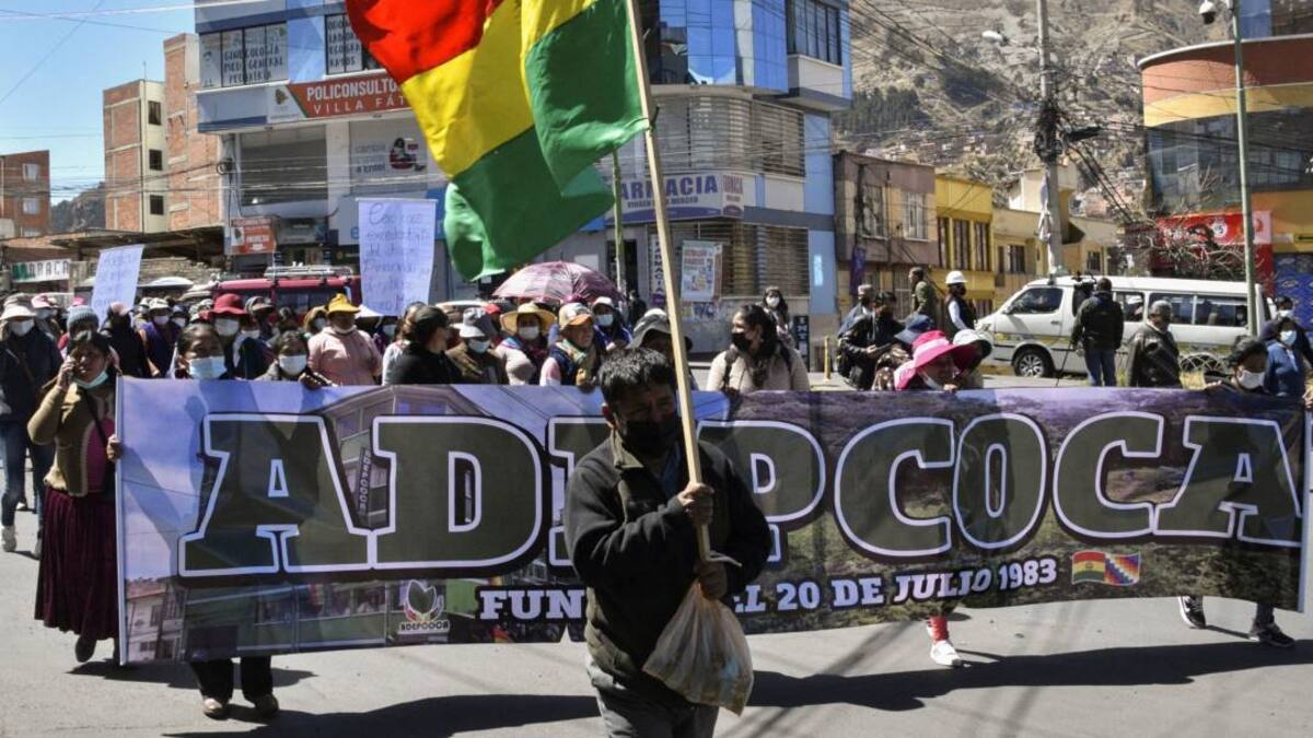 ONU manifestó preocupación en Bolivia por el conflicto cocalero