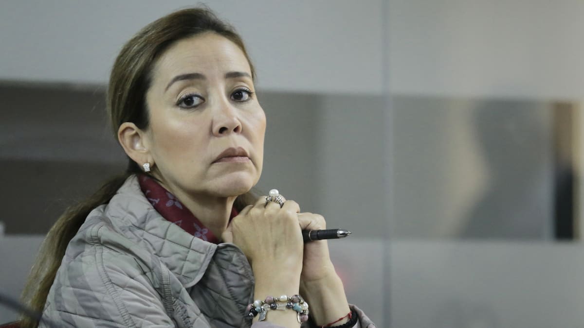 Sancionan por doce años a la exfiscal de Justicia y Paz, Hilda Niño