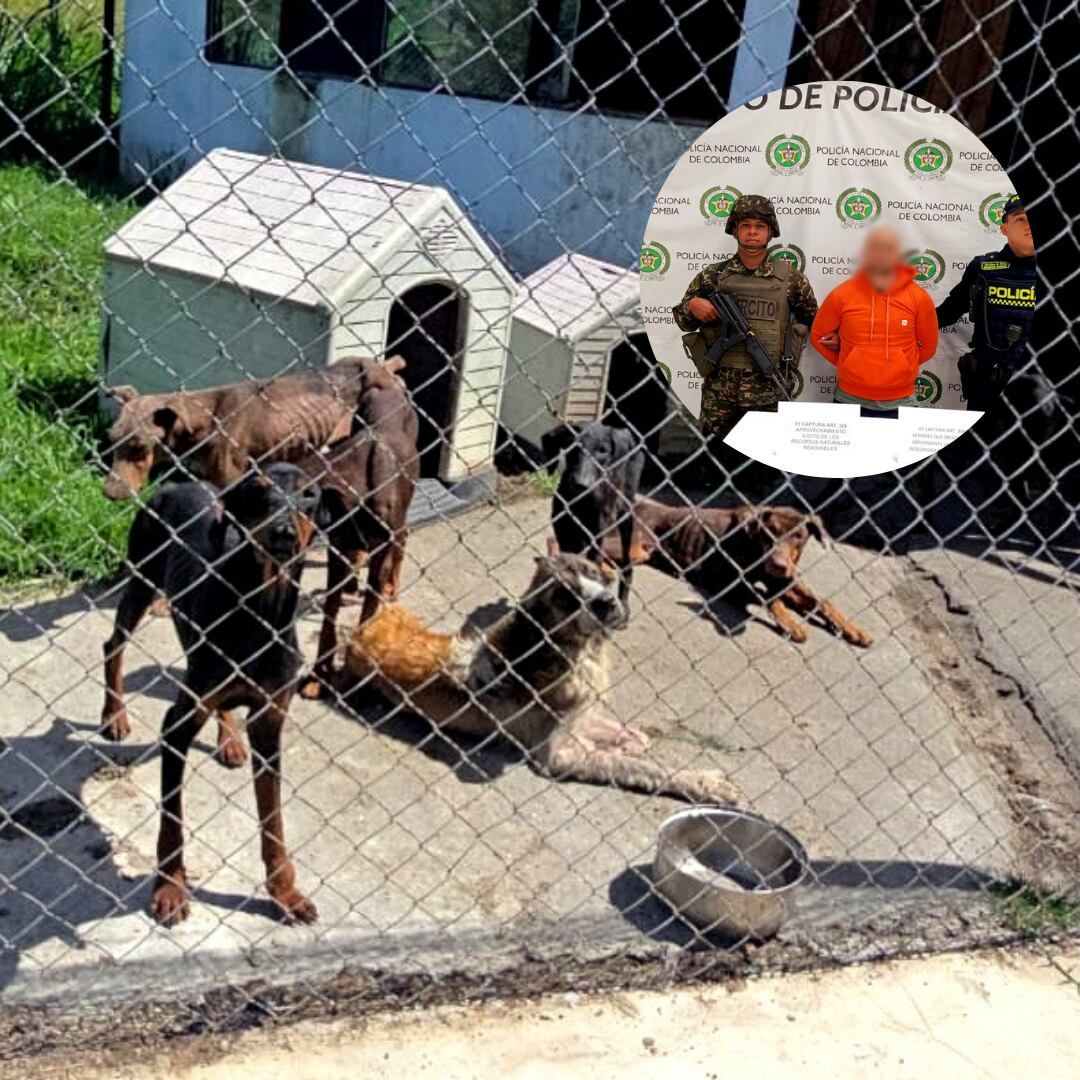 Capturado en San Vicente- fotos Policía Antioquia