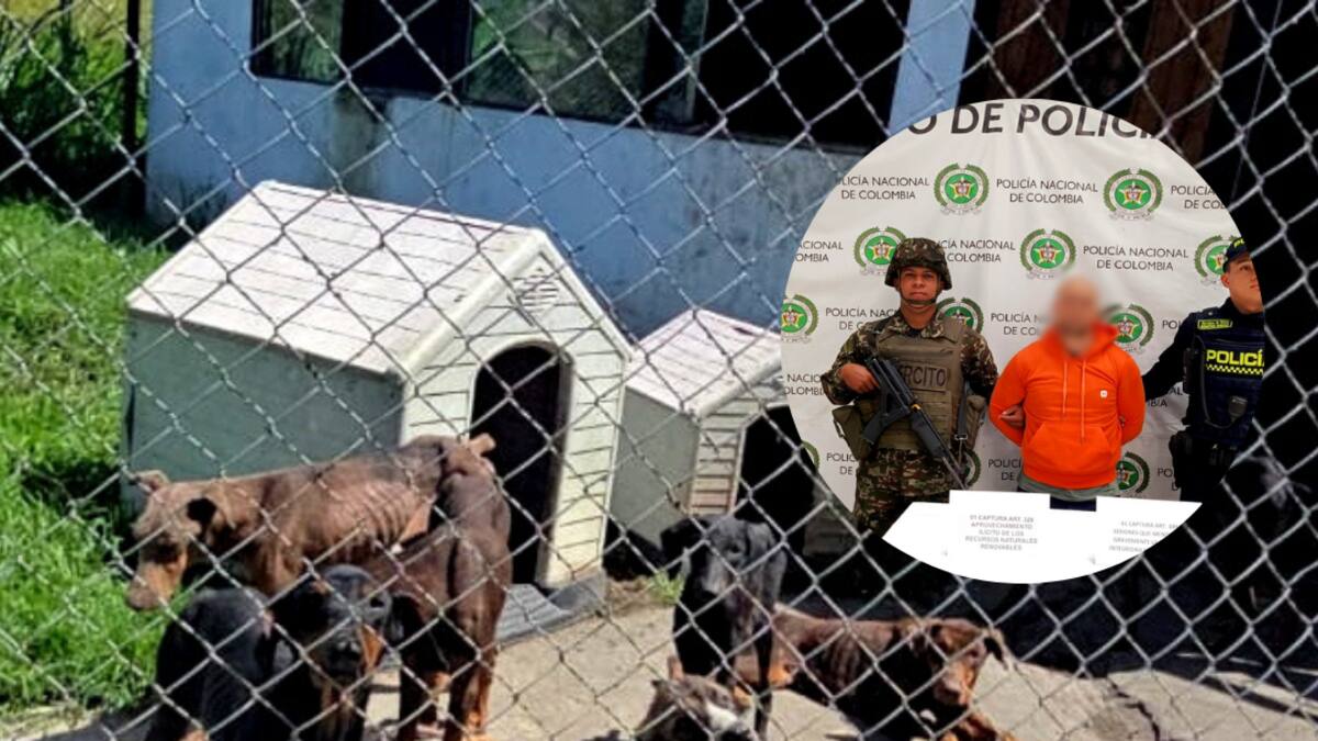 Judicializado hombre acusado de tener un criadero ilegal de perros en San Vicente, Antioquia