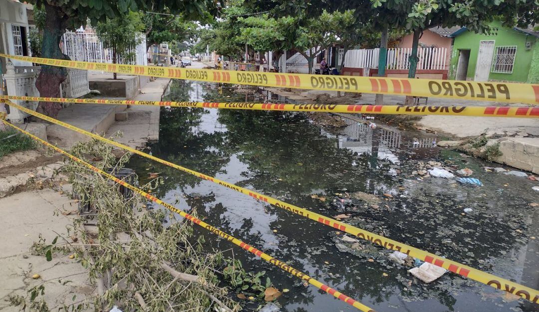 356 fueron clasificados como dengue sin signos de alarma, 533 como dengue con signos de alarma y 36 como dengue grave.